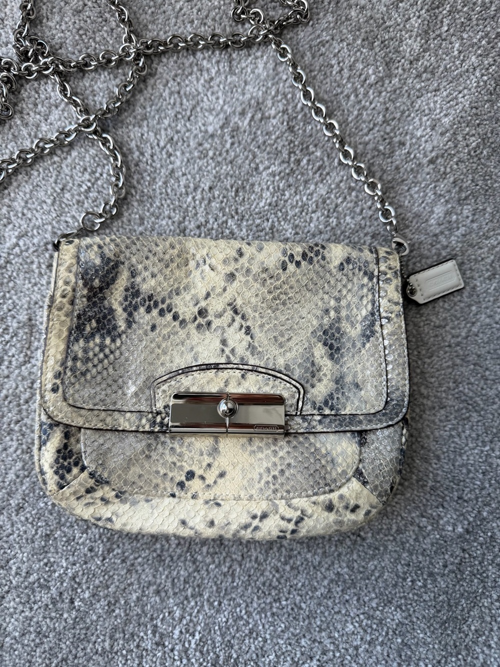 Coach Kristin Python Embossed Leather Crossbody Bag Silver Chain